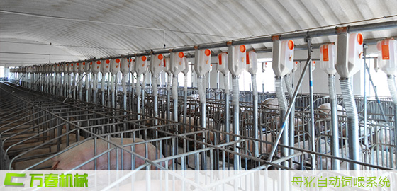 四川万春机械自动化饲料饲喂系统